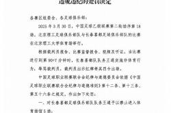 雷速体育电脑版官网下载-队长因违规行为被罚禁赛一场