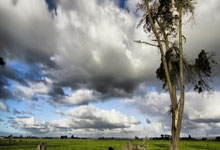 雷速体育比分官网直播-湖人B队强势击败凯尔特人,布拉德利上演帽子戏法的传奇瞬间