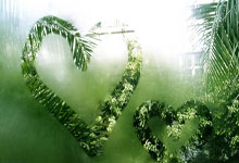 雷速体育下载-法国羽毛球队力克英格兰羽毛球队,斯里坎特制霸全场——国际羽坛的最新震撼!