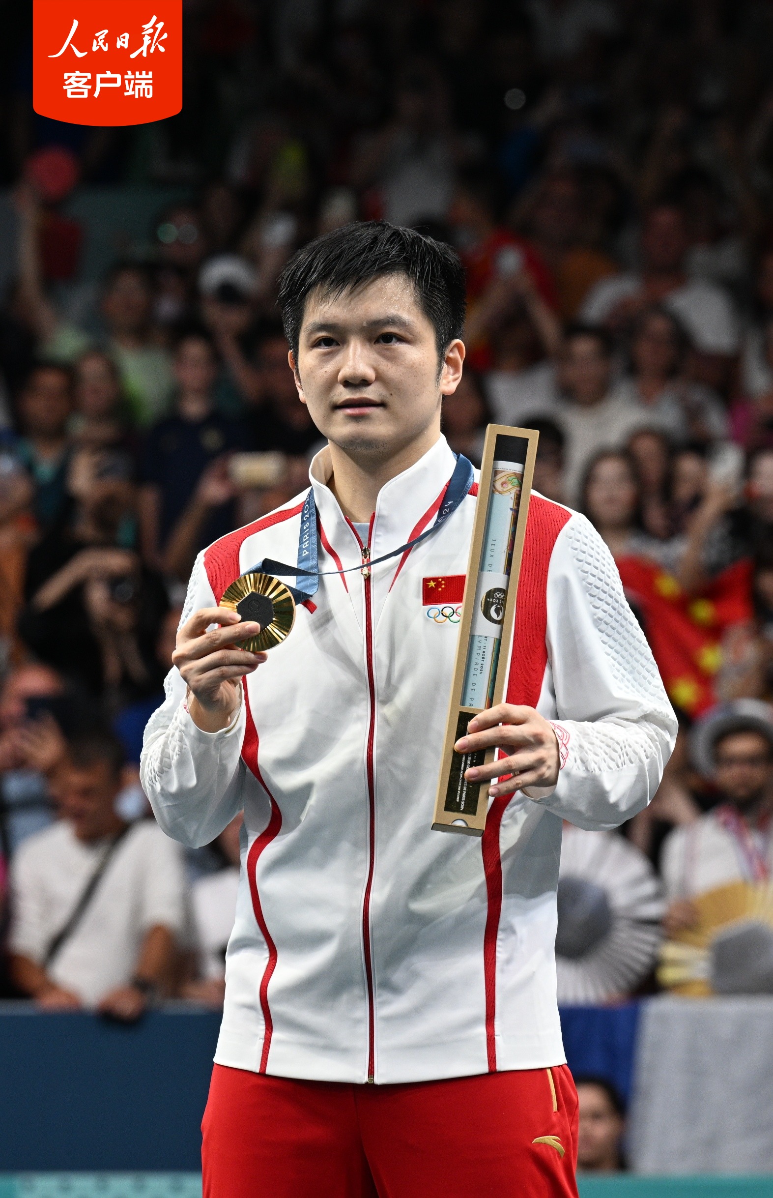 法国乒乓球队绝杀奥地利乒乓球队,樊振东高光表现的简单介绍 法国乒乓球队绝杀奥地利乒乓球队,樊振东高光表现的简单介绍